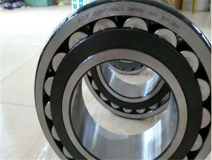 SKF (4)
