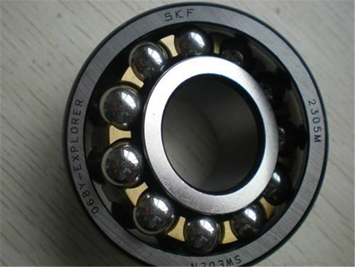 SKF (5)