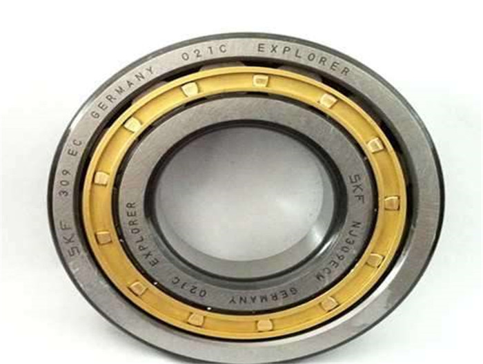 SKF (3)